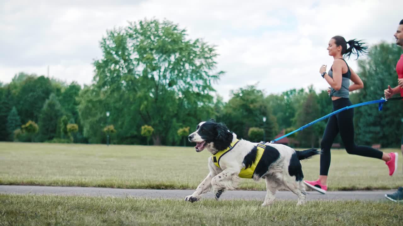 con el mejor amigo hacer que sea más placer, katowice, polonia