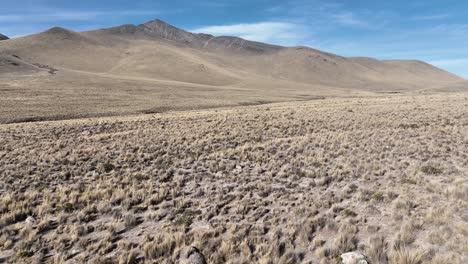 drone flying over a dry grass landscape in the terrain of peru