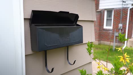 small black mailbox mail box 4k house mailbox