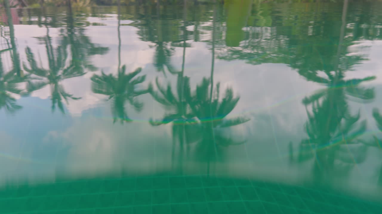luxury swimming pool with palm trees