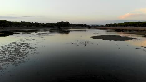 con el estanque de los pájaros que se alimentan al anochecer en el algarve