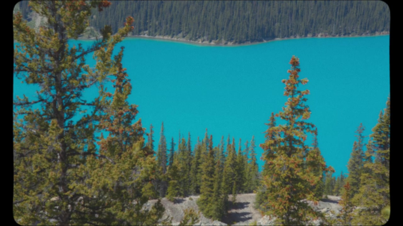 Blåt vand i Peyto Lake i Canada.