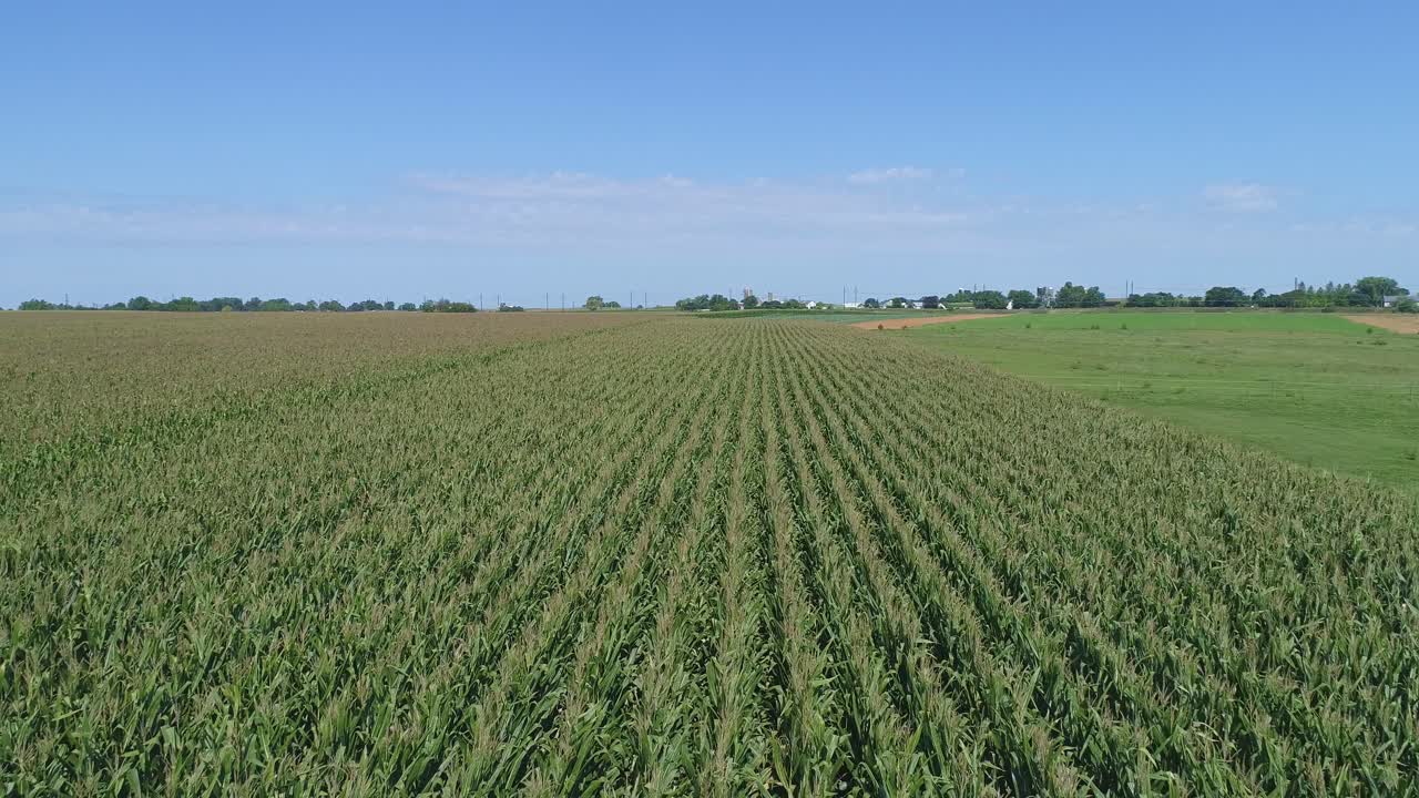 una vista aérea de cerca de las tierras de cultivo amish y el campo con campos de maíz en un día soleado de verano