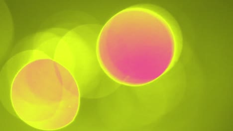animación del texto de venta sobre formas sobre fondo verde.