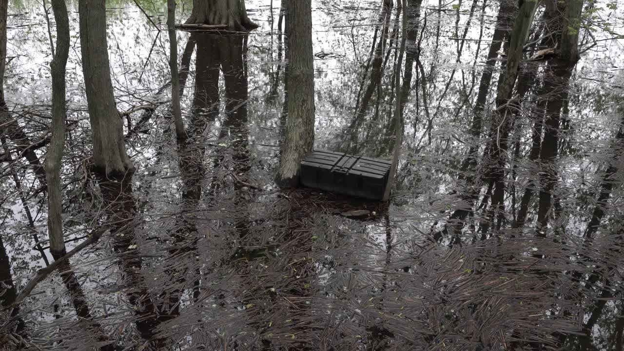 A plastic box sits in the middle amid hundreds of pieces of wood, with the reflection of trees on the water's surface