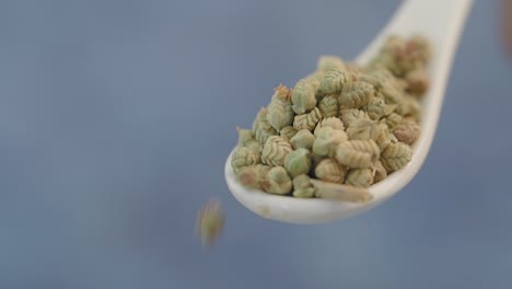 dried oregano in a spoon