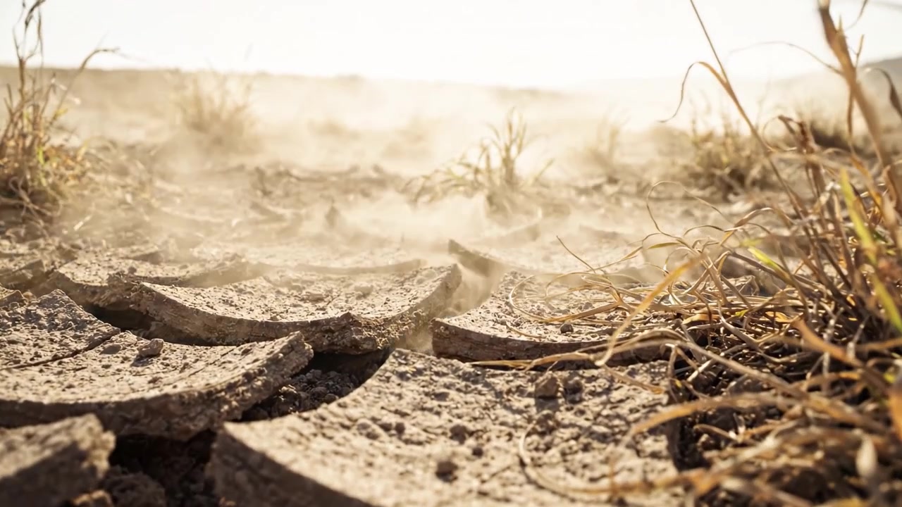 Desolate Earth: A Striking Portrait of Drought-Impacted Landscape with Cracked Soil and Resilient Grasses Fighting for Survival Under Harsh Conditions