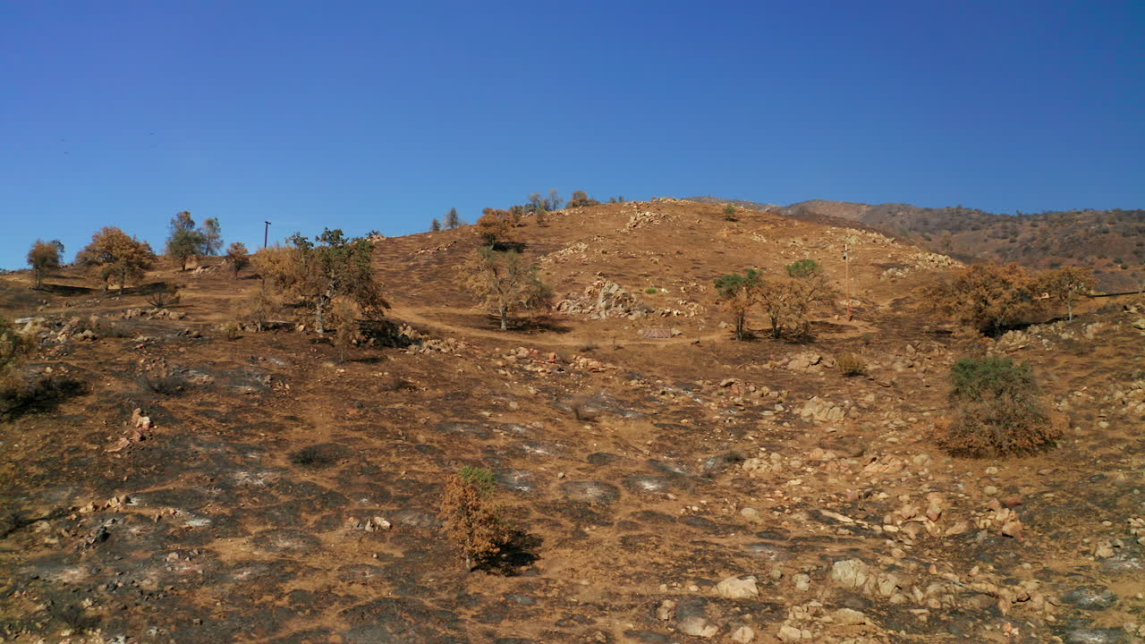 quemada después de un incendio forestal, la tierra comienza a sanar - vista aérea