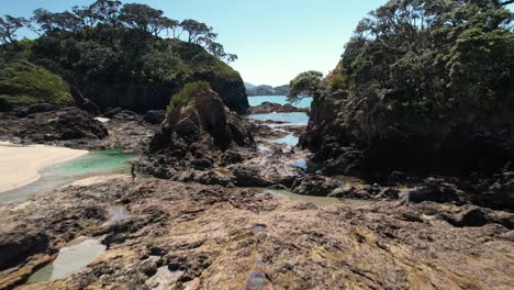 Man-walking-on-rocks-at-Elliot-Bay,-New-Zealand