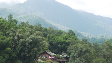 peaceful scene of a wooden house on stilts enveloped by lush green rainforest with mountains in the background. perfect for concepts of solitude, wilderness, and harmonious living.