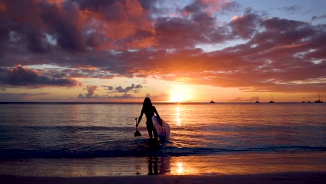 a woman with a stand up paddle board (sup) walks into the sea during sunset