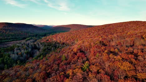 aerial drone video footage of the beautiful appalachian mountains during peak foliage in new york's hudson valley during golden hour