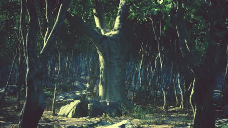 deep tropical jungle in darkness