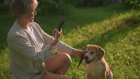 woman holds dog by leash while taking selfie of dog outdoors in grassy field under warm sunlight, dog looks away, focused on something else, while the owner smiles