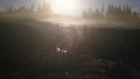 aerial view of sunbeam reflections shining through mist over lake, variation