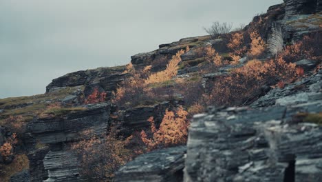 Raue-Nordische-Landschaft