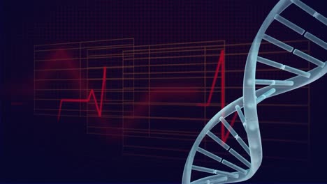 Animation-of-dna-structure-spinning-over-heart-rate-monitor-against-blue-background