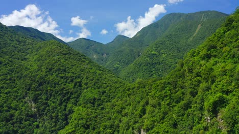 aerial forward flight over tropical forest landscape growing on hill during sunlight in taroko nationalpark, south east asia