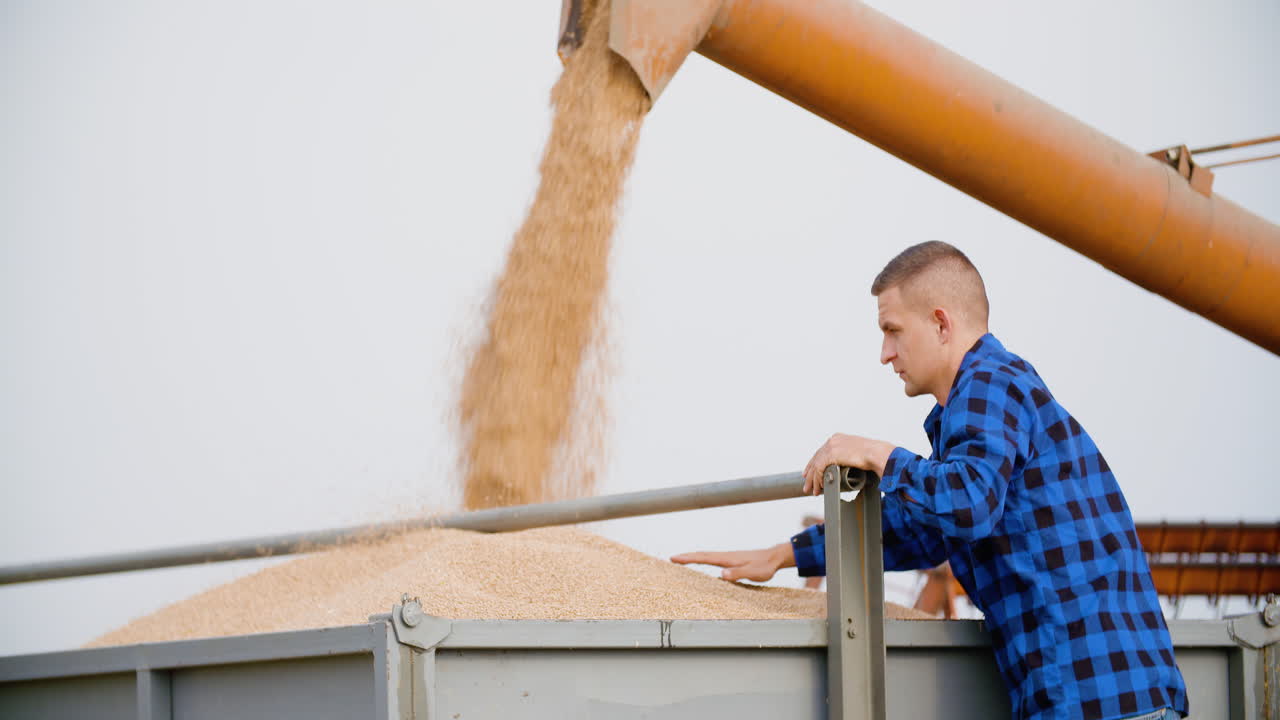 agricultor que trabaja en la granja durante la cosecha de trigo