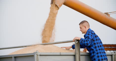 Agriculture-Farmer-Working-At-Farm-During-Harvesting-Wheat