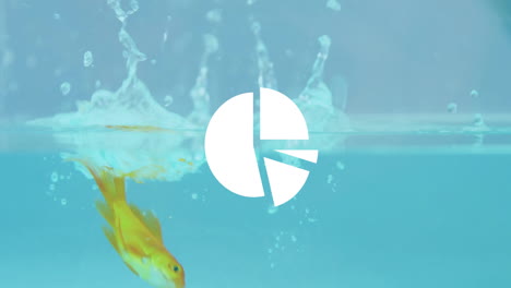 Animation of pie chart and financial data processing over gold fish in water