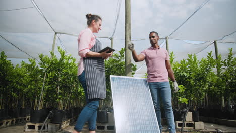 discussing solar panel installation, two diverse people collaborating on project in plant nursery