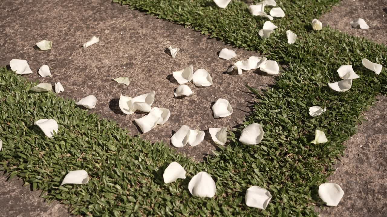 Scattered white rose petals on stone and grass pathway, creating a romantic ambiance