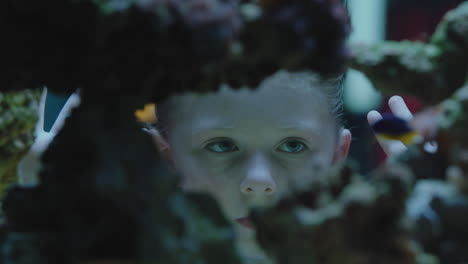 niña feliz en el acuario mirando peces tropicales niño curioso viendo colorida vida marina nadando en el tanque aprendiendo sobre animales marinos en el ecosistema submarino niño lindo en el oceanario