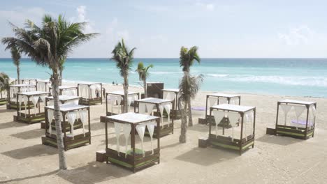 beach beds and coconuts palm trees on a beautiful caribbean beach