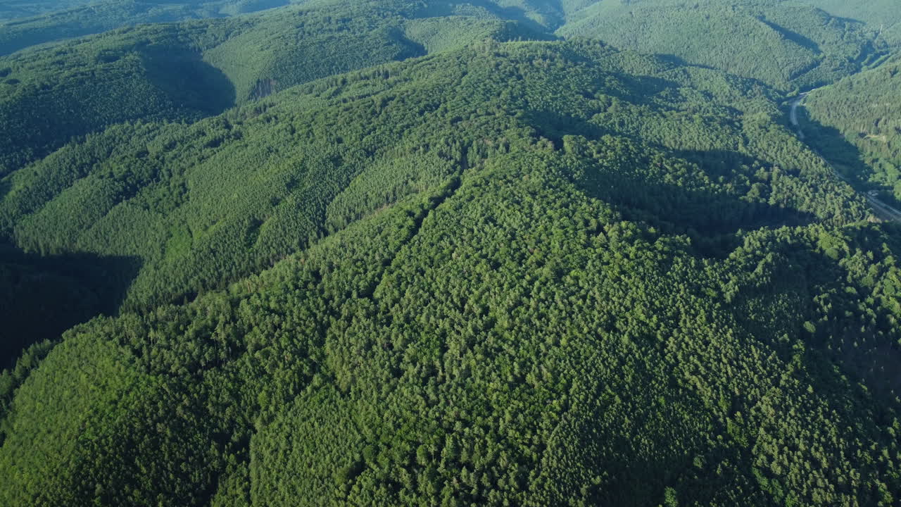 vista aérea de un exuberante bosque de montaña