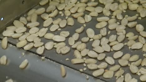 slow-motion close-up of peanuts falling from the conveyor line