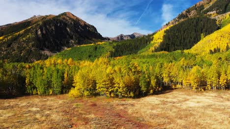 scenic aerial view of forest tree line and tree tops during autumn with mountains in the background in colorado, north america