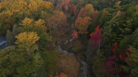 Colores-Dorados-De-Otoño-Que-Florecen-Sobre-Un-Pequeño-Pantano-En-El-Oeste-De-Michigan