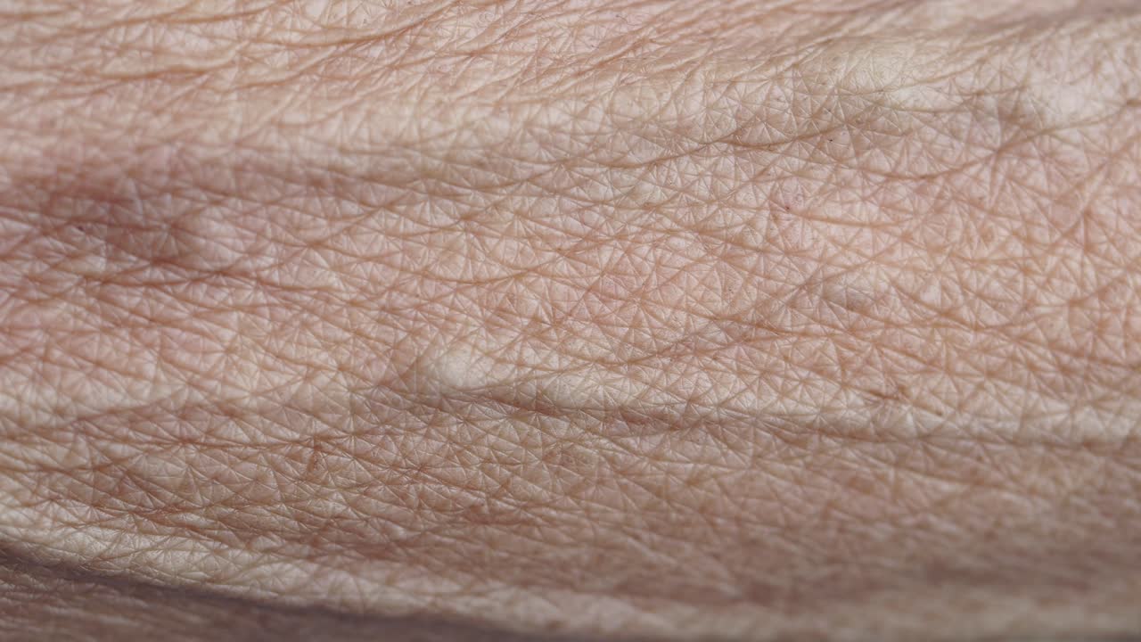 Close-up view of aged skin on a hand