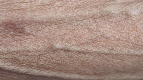 close-up view of aged skin on a hand