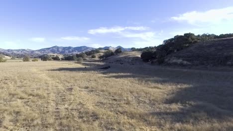 Camera-dolly's-closer-to-ranchers-and-cattle-ahead