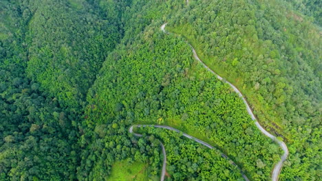 Vista-Aérea-De-La-Carretera-Sobre-Montañas-Y-Bosques.