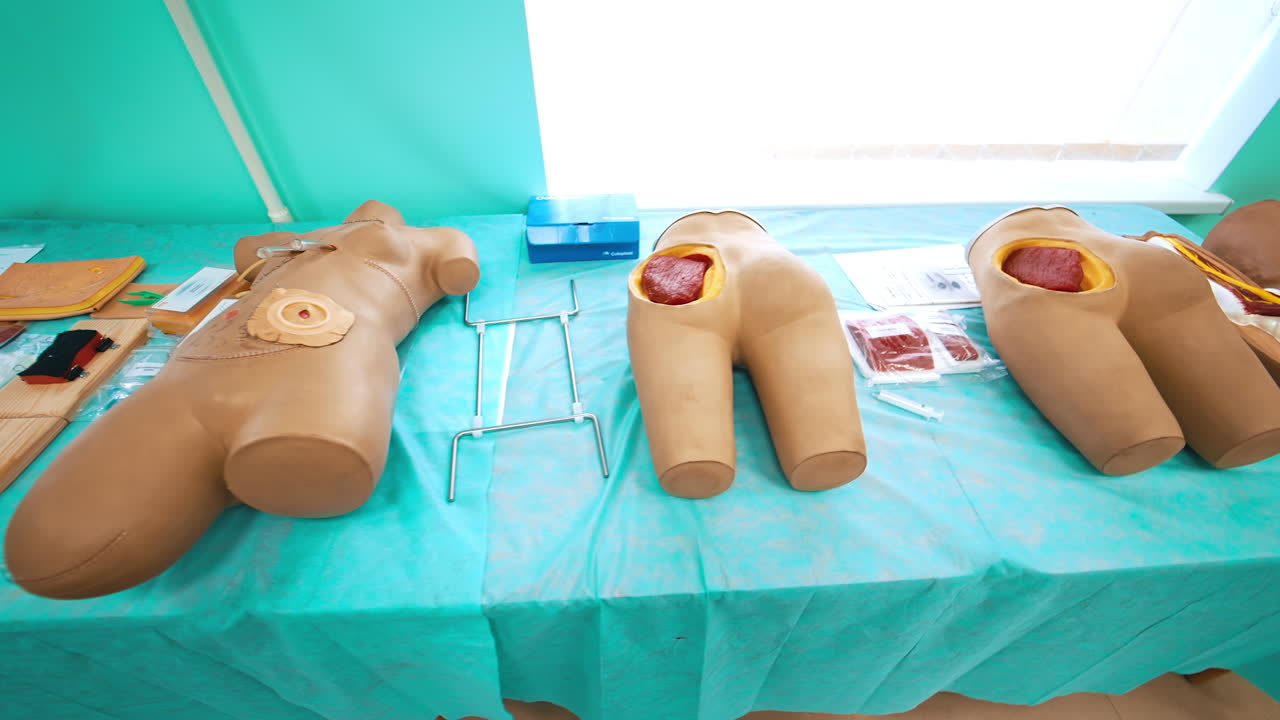 Plastic models for teaching in medical university. Dummy parts of human body for practising students lying on table.