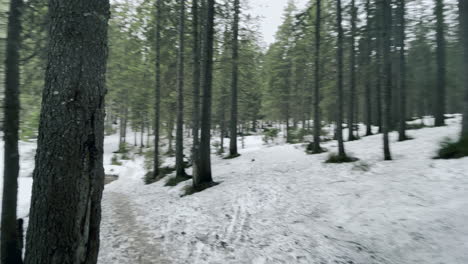 Road-to-forest-creek.-Natural-road-in-forest-with-melting-snow-and-swift-stream.