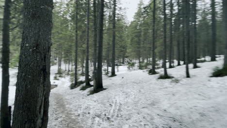 Camino-Al-Arroyo-Del-Bosque.-Camino-Natural-En-El-Bosque-Con-Nieve-Derretida-Y-Arroyo-Rápido.