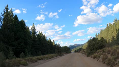 pov drive on rural road surrounded by pine trees during blue sky and sunlight in patagonia argentina