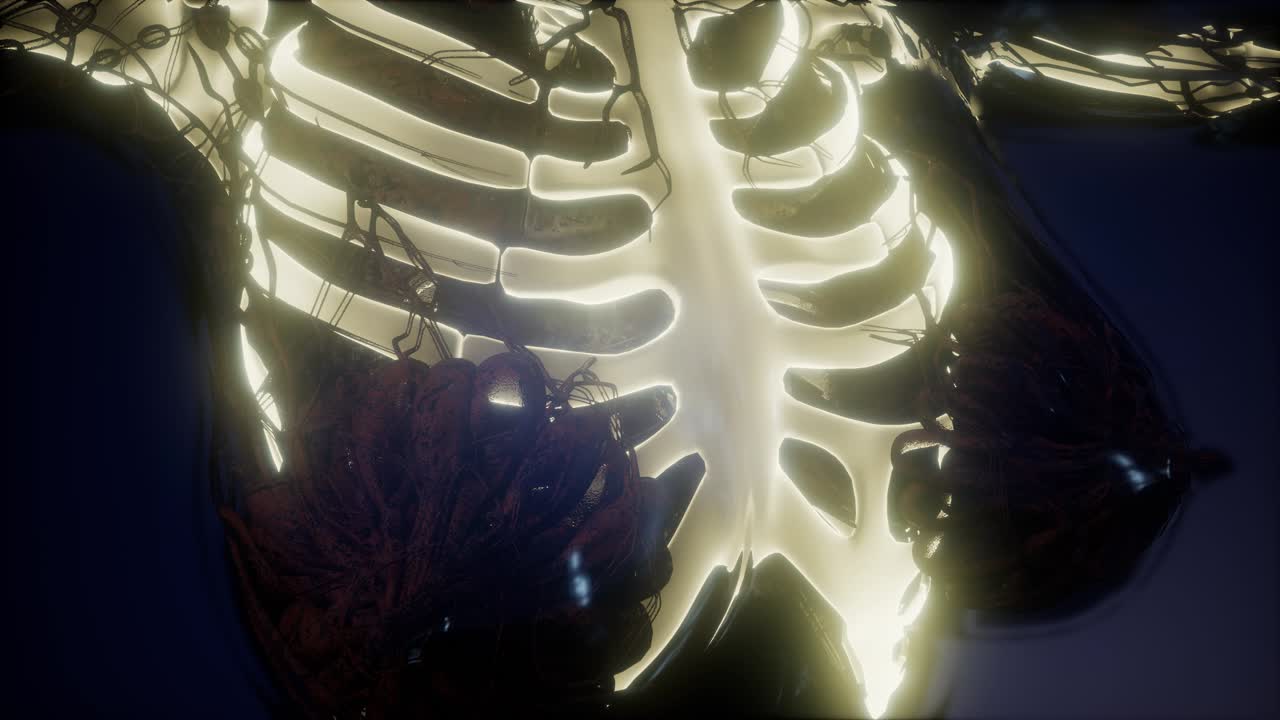 corpo umano con ossa scheletriche visibili