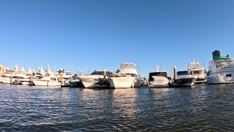 boats docked at a sunny marina