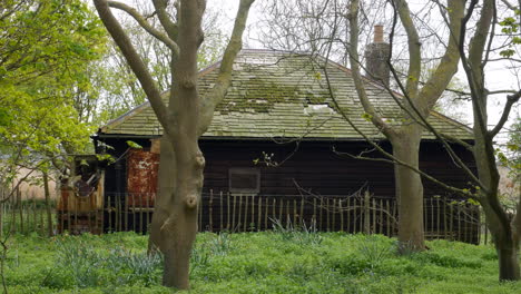 Back-of-an-abandoned-empty-old-wooden-house-in-the-woods