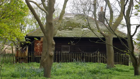 detrás de una vieja casa de madera vacía abandonada en el bosque