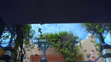 toma en cámara lenta del hotel mauricio con plantas colgando de la pared