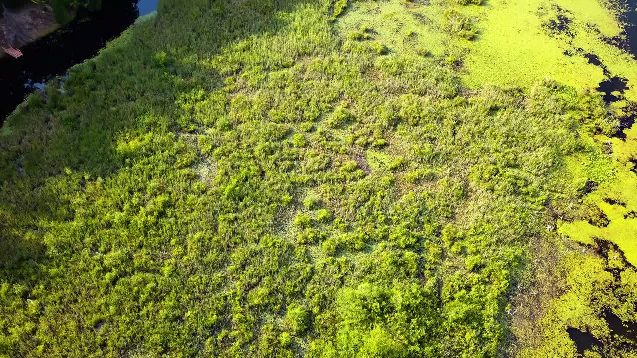 clip de drones aéreos de 4k de un pequeño lago y canal con ricos árboles verdes coloridos y agua clara en un día soleado de verano en michigan, estados unidos en un clima cálido al aire libre