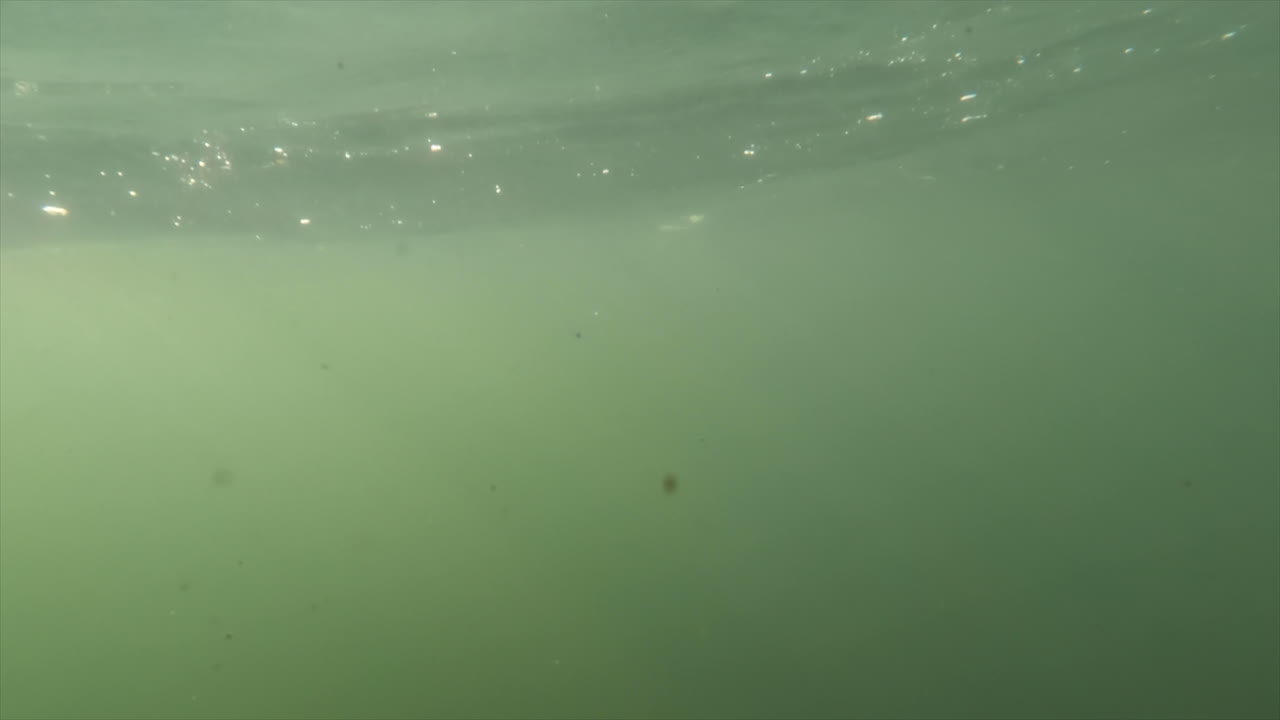 오레곤 크릭에 빛나는 예술적 광선