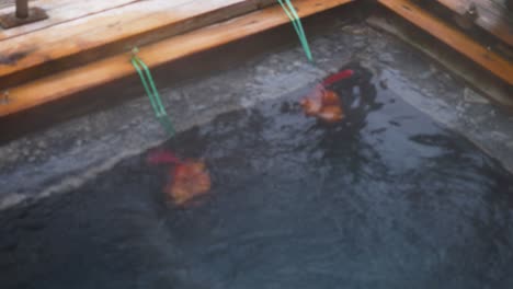 focus pull, cooking eggs in natural hot spring bath, yunomine onsen japan