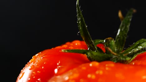 organic red tomato on black background